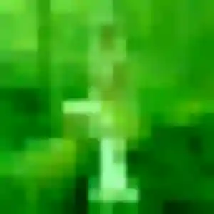plan cul à Capian : profil de Vera, 34 ans - accès libre