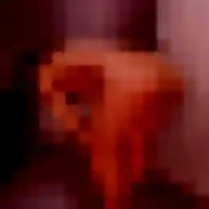 Photo exclusive de Brune, 32 ans à Carantec - rencontre coquine
