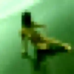 Eglantine, fille de 39 ans cherche plan cul à Carpentras