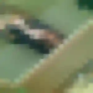 Uranie, femme de 23 ans cherche plan cul à Celles