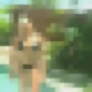 Profil de Honorine à Cerelles (32 ans) - plan cul anonyme