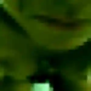 Photo perso de Giulia, 22 ans à Cesson-Sévigné - rencontre coquine