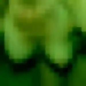 Photo de Prisca à Chahaignes (44 ans) - plan cul discret