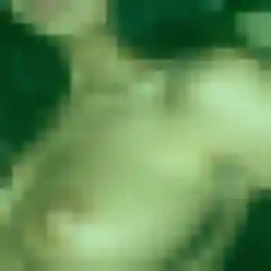 Belle Laure, 43 ans à Chalamont - voir sa photo