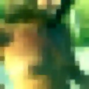 Profil de Candice à Champey (41 ans) - plan cul gratuit