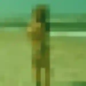 Contacte Idalina, 27 ans à Channay-sur-Lathan gratuitement
