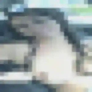 Yvonne (45 ans) à Charnècles cherche un plan cul maintenant