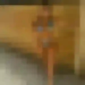 Belle Armelle, 29 ans à Chassiers - voir sa photo