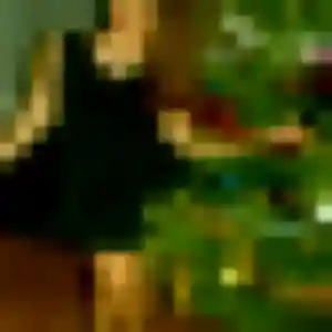 Photo de Maya à Château-Larcher (37 ans) - plan cul anonyme