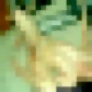 Photo privée de Isabella, 24 ans à Châteauneuf - plan discret