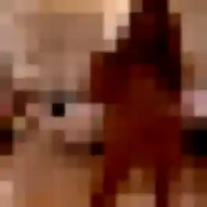 Clotilde, 29 ans, disponible à Clairoix pour une rencontre coquine