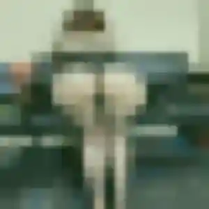 Photo exclusive de Bertrane, 45 ans à Condat-sur-Vézère - rencontre coquine
