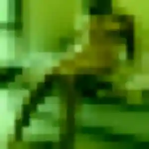 Photo de Cecile à Contamine-Sarzin (43 ans) - plan cul discret