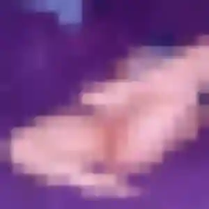 Jolie Celine, 41 ans à Coublevie - voir sa photo