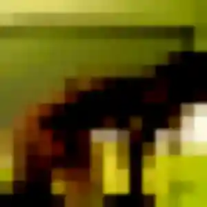 Charmante Jade, 44 ans à Coublevie - découvrir son profil