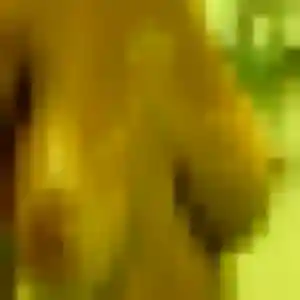 Solange, 30 ans, en ligne à Coulogne pour une rencontre coquine