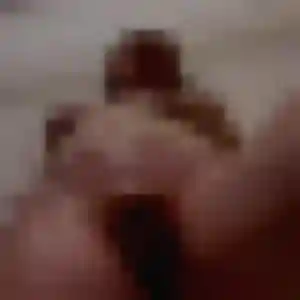 Amel, 29 ans, cherche un plan cul à Courdimanche