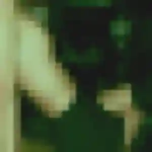 Photo perso de Sonia, 36 ans à Cours-les-Barres - rencontre coquine