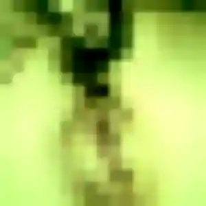 Photo de Laura à Coyecques (40 ans) - plan cul gratuit