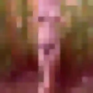 Photo de Ambre à Dalem (33 ans) - plan cul anonyme