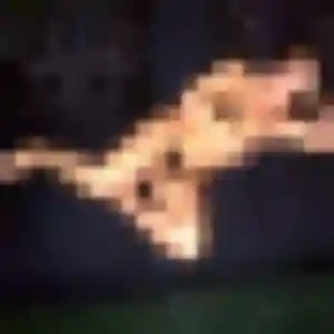 Photo de Vicky à Diebling (22 ans) - plan cul anonyme