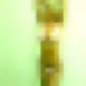 Djamila, 36 ans, dispo pour plan cul à Écouflant