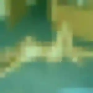 Vanessa, 44 ans, cherche un plan cul à Écourt-Saint-Quentin