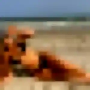 Photo exclusive de Camille, 34 ans à Életot - plan discret