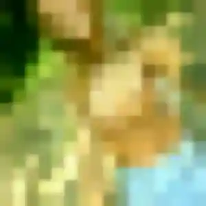 Photo privée de Siham, 25 ans à Ennevelin - rencontre coquine