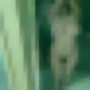 Gaelle (37 ans) à Entrelacs cherche un plan cul ce soir