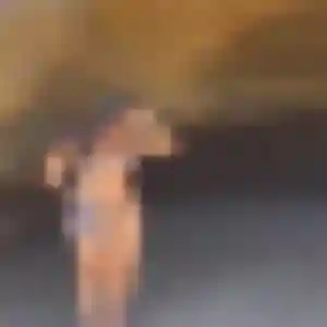 Photo de Lamia à Équihen-Plage (23 ans) - plan cul gratuit