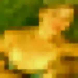 Renee, 32 ans, disponible à Erdeven pour une rencontre coquine