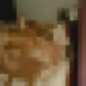 Delphine (38 ans) à Essey-lès-Nancy cherche une rencontre aujourd'hui
