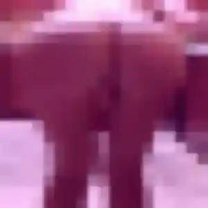 Photo de Edith à Étrœungt (37 ans) - plan cul gratuit
