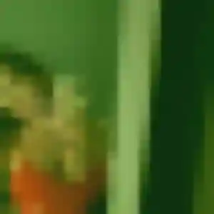 Belle Axelle, 24 ans à Évellys - voir sa photo