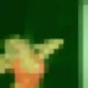 Photo de Daniela à Falicon (43 ans) - plan cul anonyme