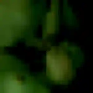 Photo perso de Sixtine, 41 ans à Farbus - rencontre sans lendemain