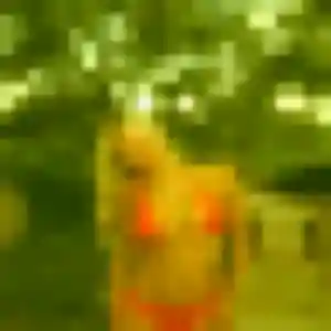 Eva, femme de 41 ans propose plan cul à Faverolles-sur-Cher