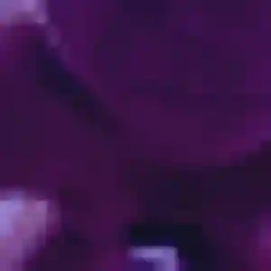 Photo perso de Zara, 29 ans à Férolles-Attilly - rencontre coquine