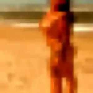 Photo sexy de Solene, 44 ans à Feugarolles - rencontre sans lendemain