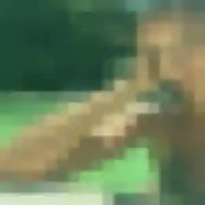 Photo exclusive de Prisca, 23 ans à Foix - rencontre coquine