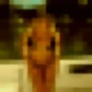 Sara, femme de 36 ans cherche plan cul à Folkling