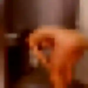 Alienor, 23 ans, connectée à Fontaine-lès-Dijon pour une rencontre coquine