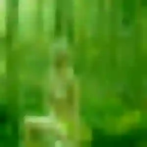 Ilona, 24 ans, dispo pour plan cul à Fontevraud-l'Abbaye