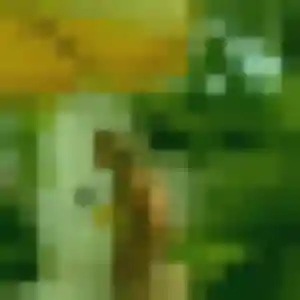 Photo privée de Xena, 41 ans à Forcé - rencontre coquine