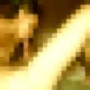 Photo de Regine à Fouquebrune (42 ans) - plan cul gratuit