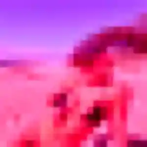 Photo privée de Daniela, 24 ans à Frasne - rencontre sans lendemain