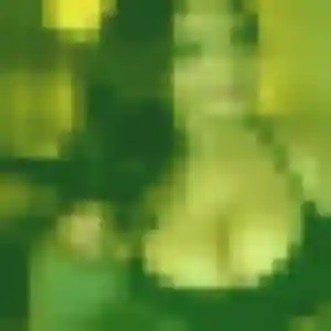 plan cul à Frossay : photo de Touria, 26 ans - sans engagement