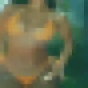 Samantha, 37 ans, dispo pour plan cul à Garlin