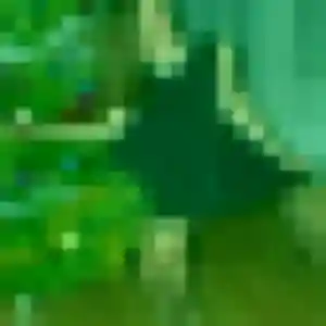 Découvre Vanessa, 44 ans à Garnay gratuitement